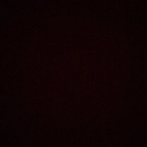 Meet your Posher, Bianca